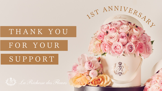 ブランド設立1周年を迎えました!