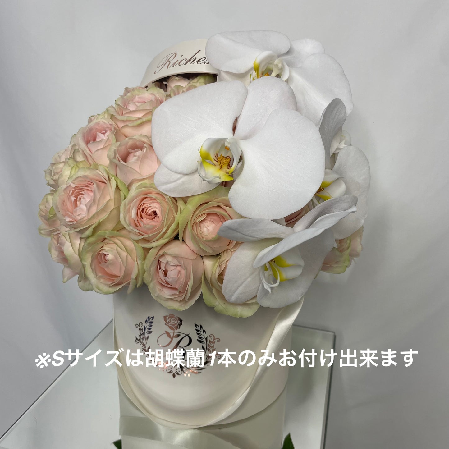 【オプション】胡蝶蘭