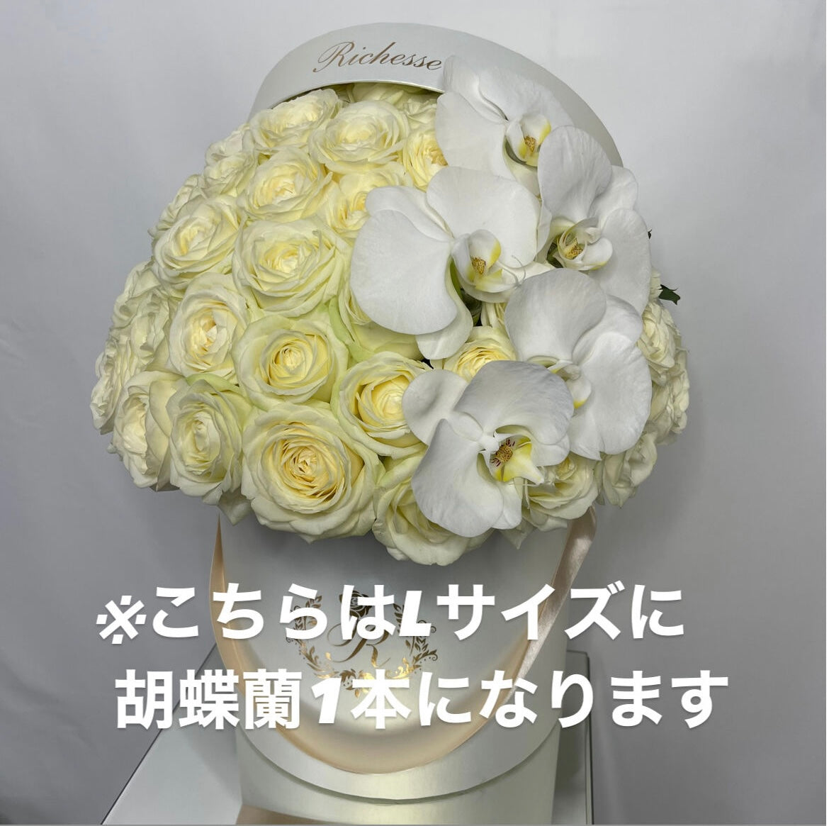 【オプション】胡蝶蘭