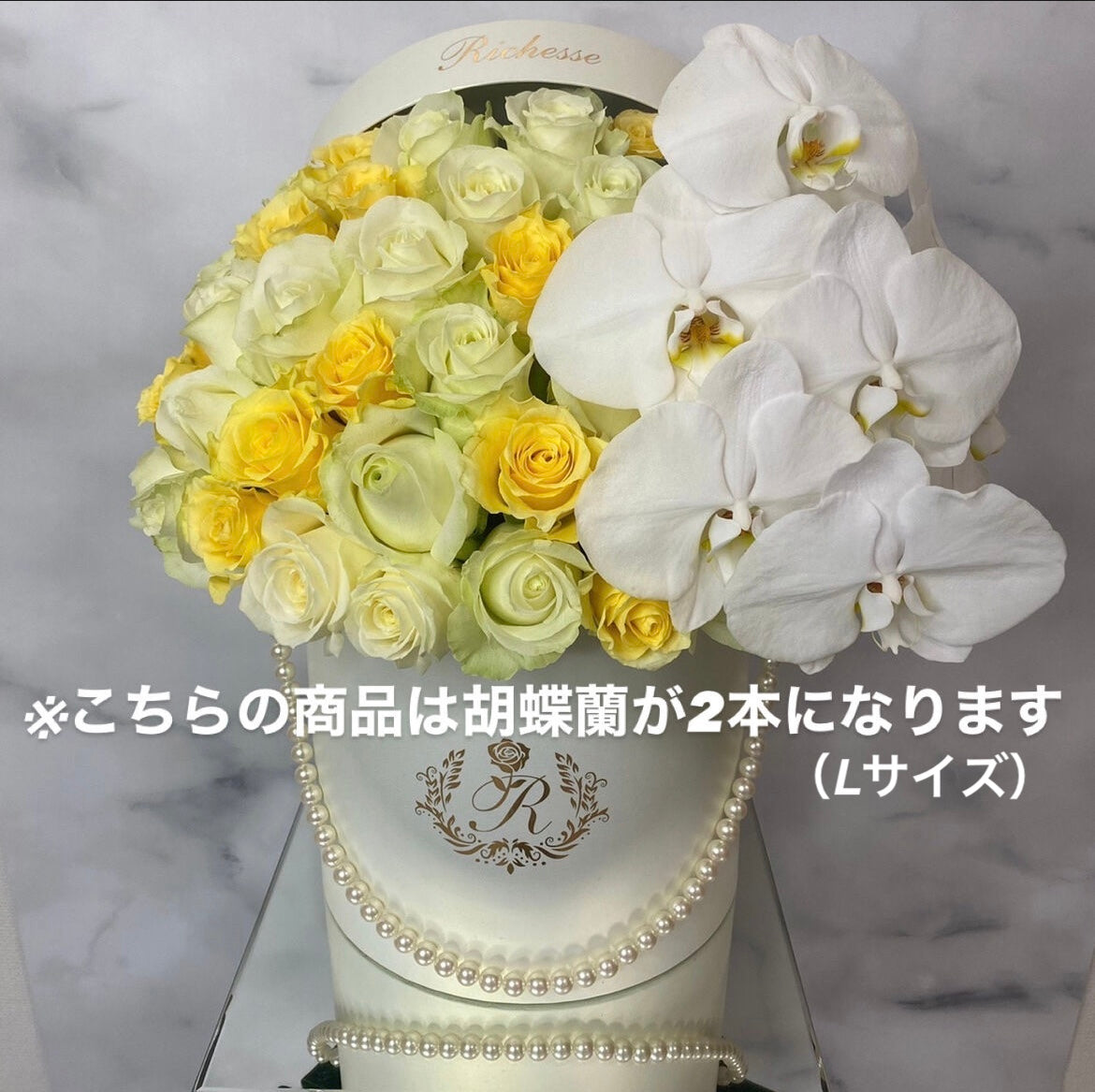【オプション】胡蝶蘭