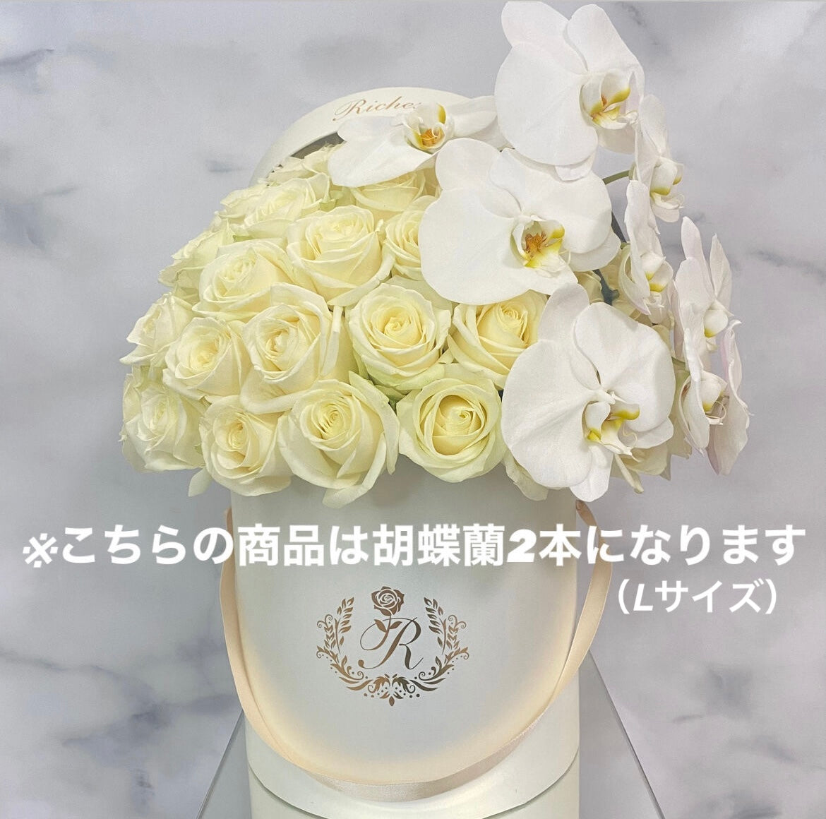 【オプション】胡蝶蘭