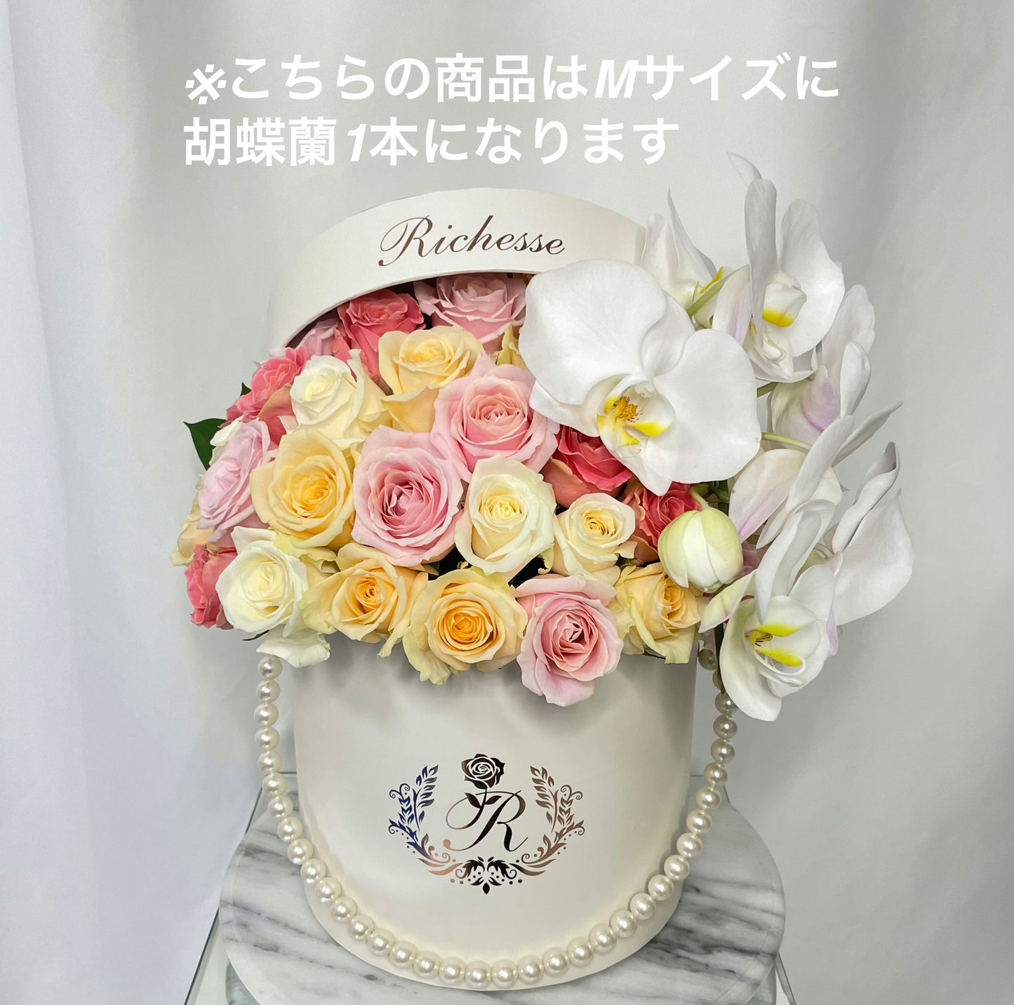 【オプション】胡蝶蘭