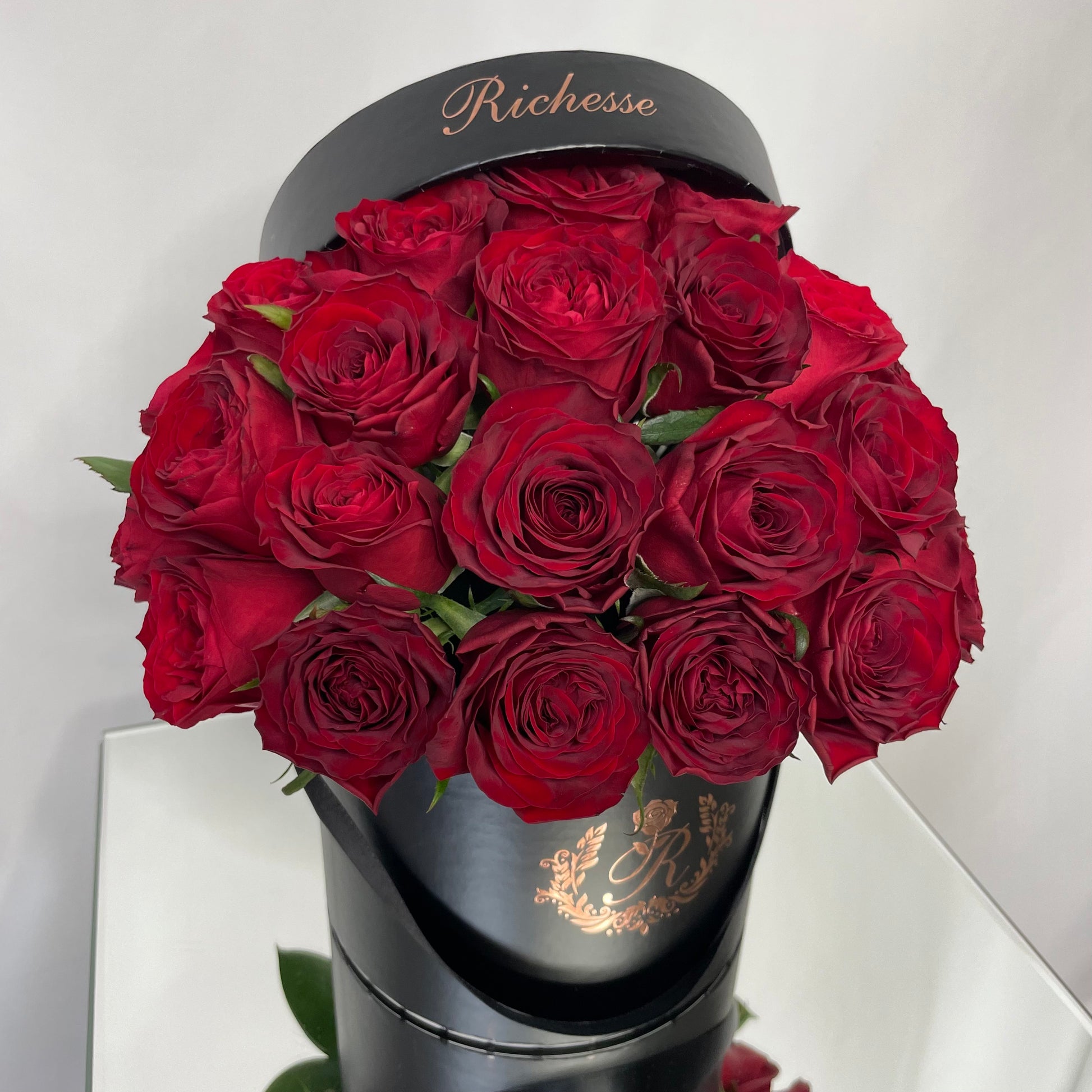 IMG_2090.heic?v=1667221997& IMG_2090.heic?v=1667221997&